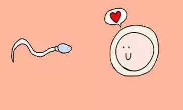 广东三代试管婴儿医院排名汇总，正确选择“怀孕”顺其自然