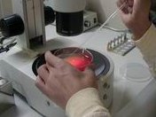 详细解读九江市做长方案试管婴儿费用，长方案和短方案成功率有差别吗？