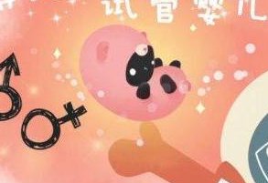 国内除了华西还有哪家三甲医院     可以在做精试管婴儿